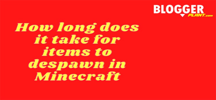 Minecraft items despawn too fast