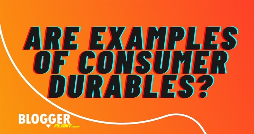 Are examples of consumer durables?