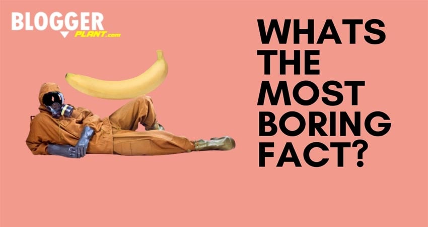 Whats The Most Boring Fact